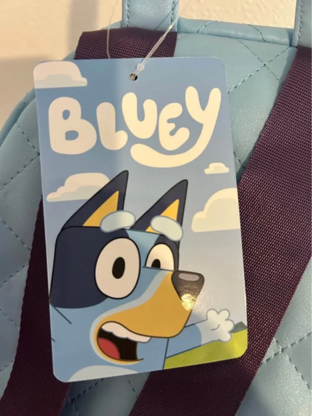 Bluey new mini